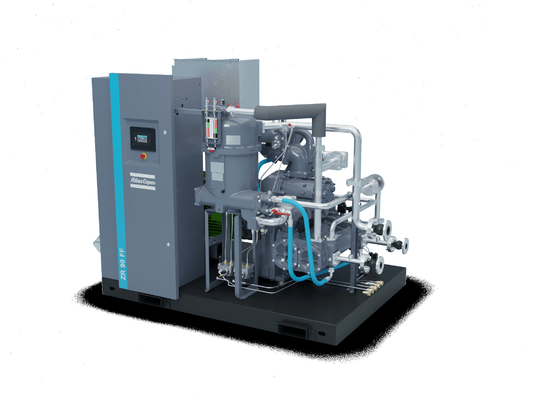 Atlas Copco Yağ Serbest vida hava kompresörleri ZT/ZR 55-90 ((VSD) ((FF) Enerji güvenliği