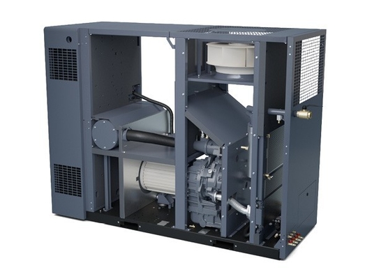 Atlas ZR37-55VSD Ürün Güvenliği ve Güvenilirliği için Yağsız vida hava kompresörü